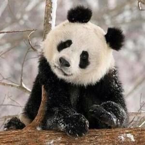 Meet your Posher, Robyn